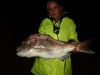 KALBARRI SNAPPER FROM THE ROCKS